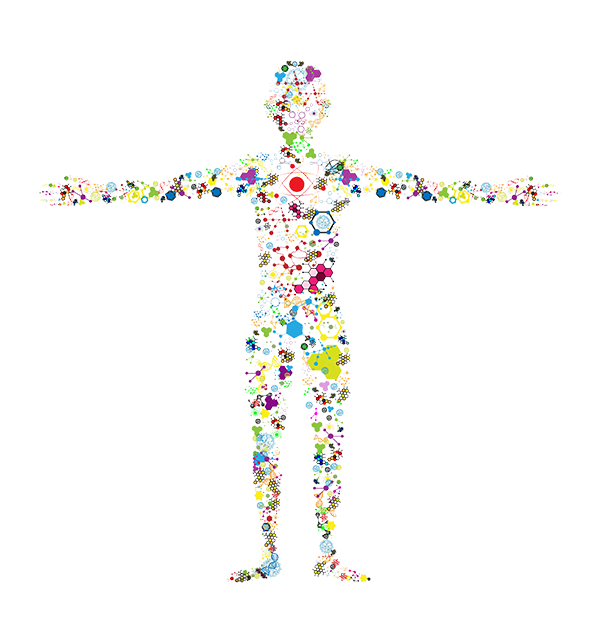 Biorésonance qui permet d'équilibrer le corps